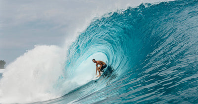 FIELD TRIP | INDO